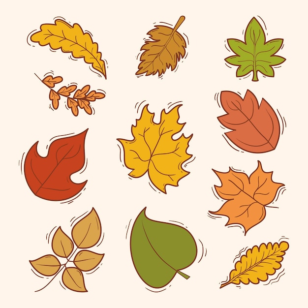 Free Vector hand drawn autumn leaves collection