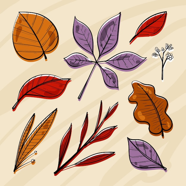 Free Vector hand drawn autumn leaves collection