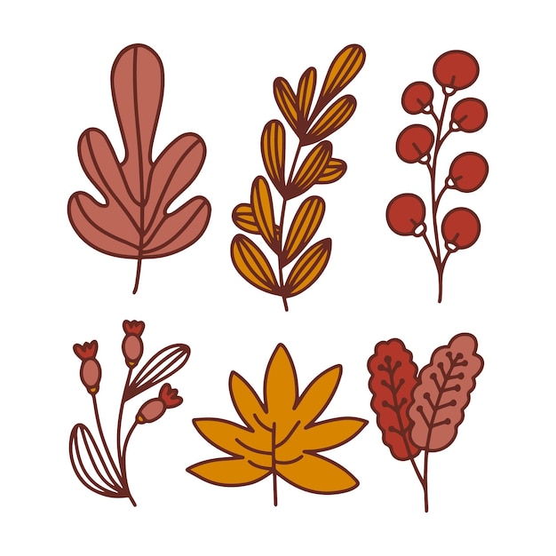 Free Vector hand drawn autumn leaves collection