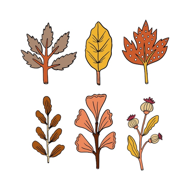 Free Vector hand drawn autumn leaves collection