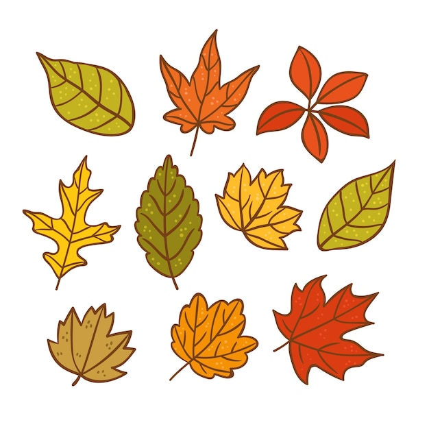 Hand drawn autumn leaves collection