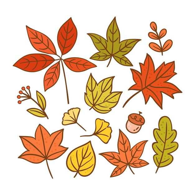 Hand drawn autumn leaves collection