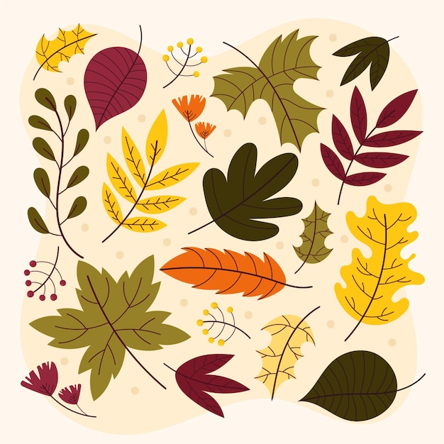 Hand drawn autumn leaves collection