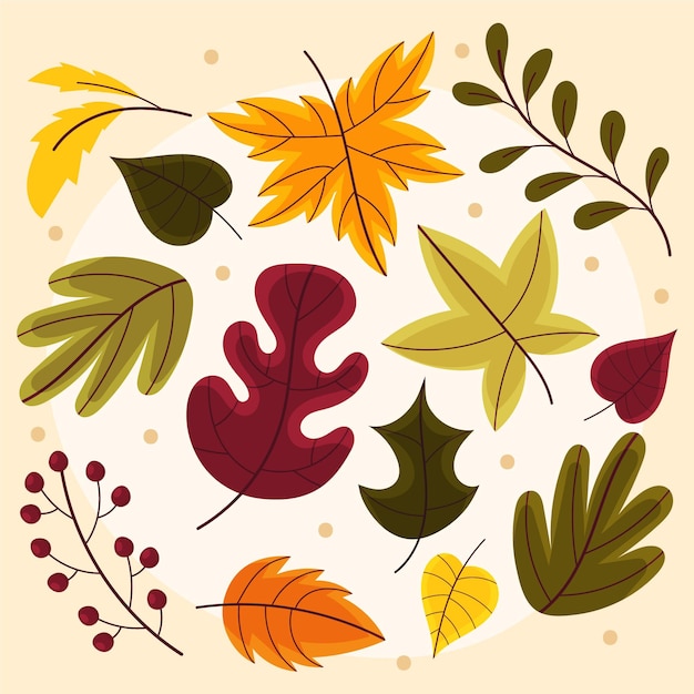 Hand drawn autumn leaves collection