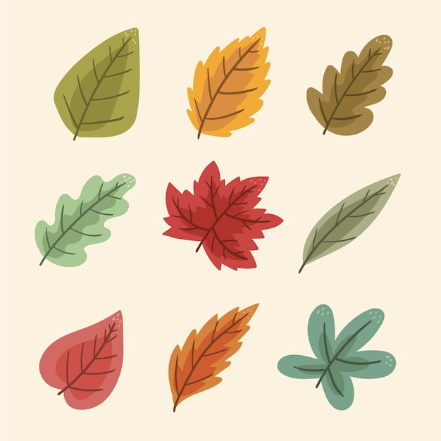 Hand drawn autumn leaves collection