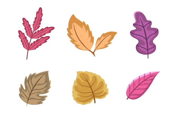 Hand drawn autumn leaves collection