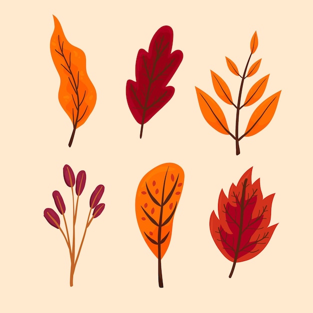 Free Vector hand drawn autumn leaves collection