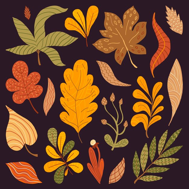 Hand drawn autumn leaves collection