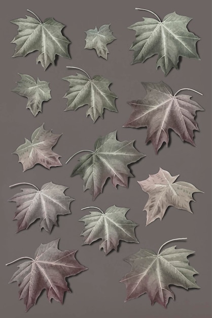 Free Vector hand drawn autumn maple leaf collection vector