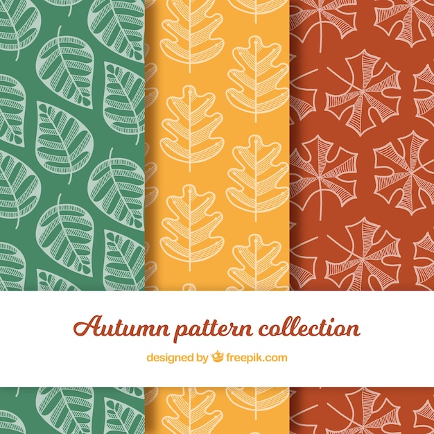 Hand drawn autumn pattern collection