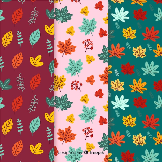 Hand drawn autumn pattern collection