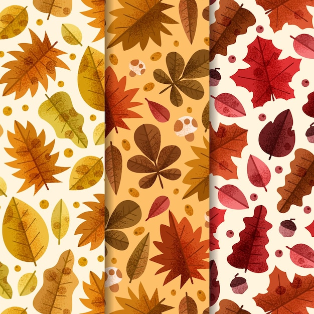 Hand drawn autumn pattern collection