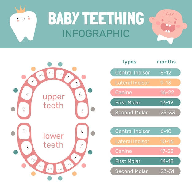 Hand drawn baby weight infographic