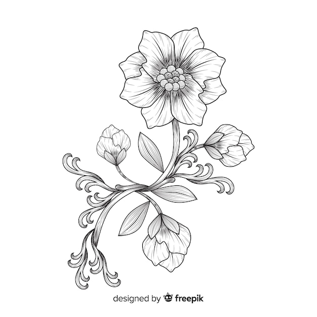 Hand drawn baroque flowers