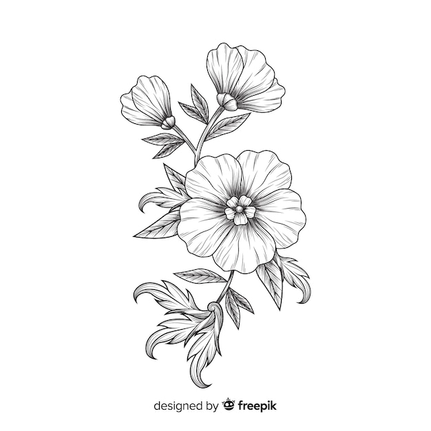 Hand drawn baroque flowers