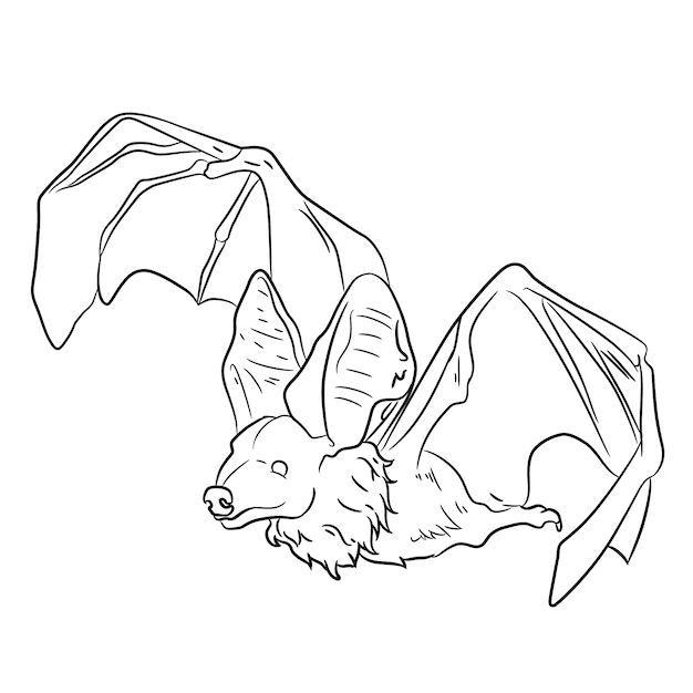 Free Vector hand drawn bat outline illustration