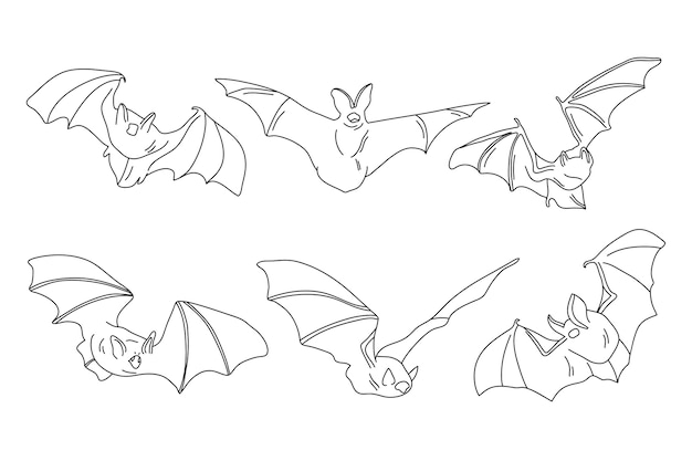 Hand drawn bat outline illustration