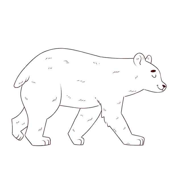 Hand drawn bear outline illustration