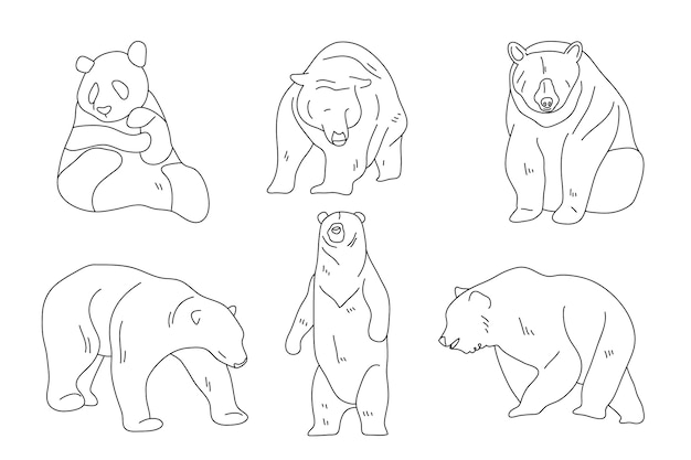 Hand drawn bear  outline illustration