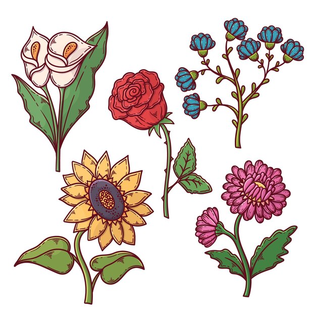 Hand drawn beautiful flowers pack