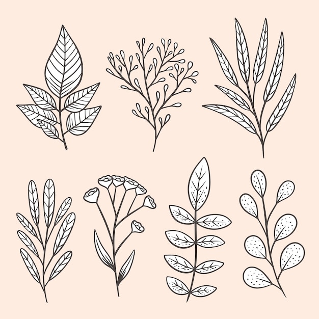 Hand drawn beautiful flowers pack