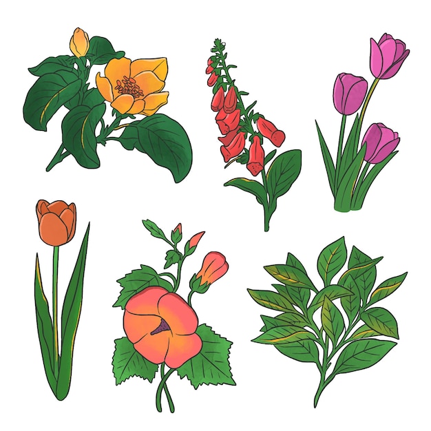 Free Vector hand drawn beautiful flowers pack