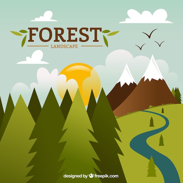 Free Vector hand drawn beautiful forest landscape 