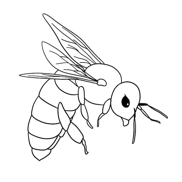 Hand drawn bee outline illustration