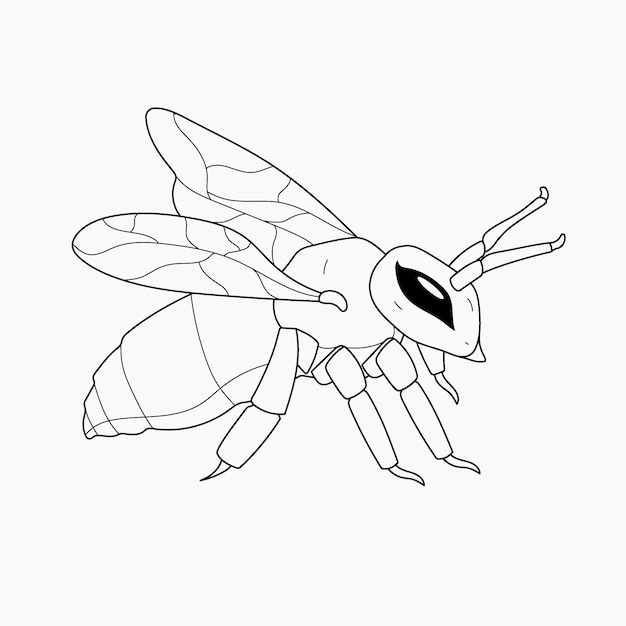 Hand drawn bee outline illustration