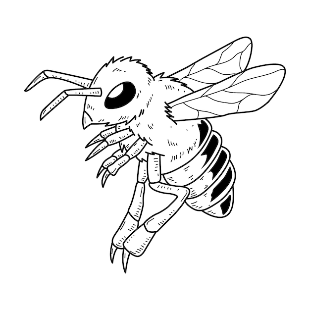 Hand drawn bee outline illustration