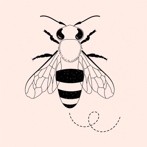 Hand drawn bee outline illustration