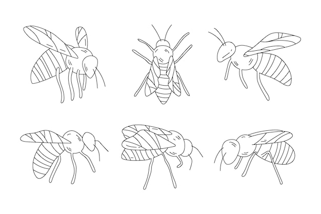 Free Vector hand drawn bee outline