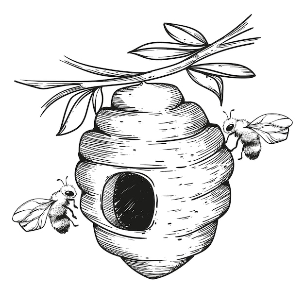 Free vector hand drawn beehive drawing illustration