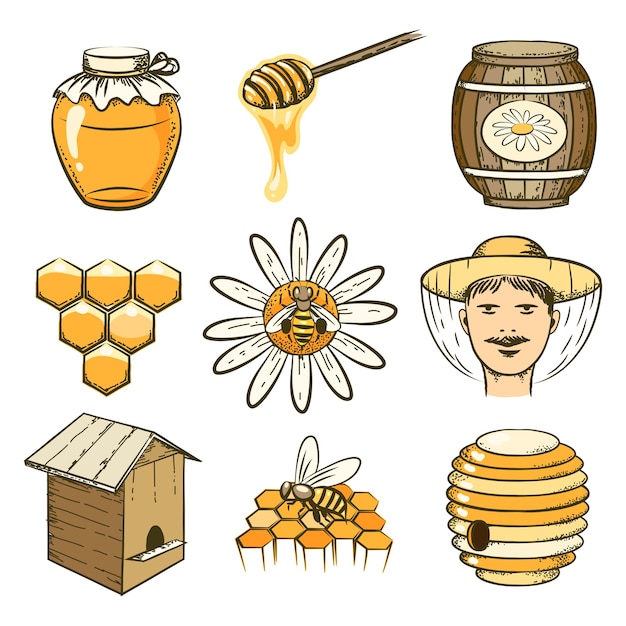 Free Vector  hand drawn beekeeping, honey and bee icons. food sweet, insect and cell, cask and honeycomb 