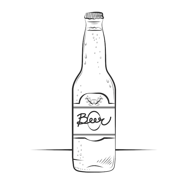 Free Vector hand drawn beer bottle drawing element