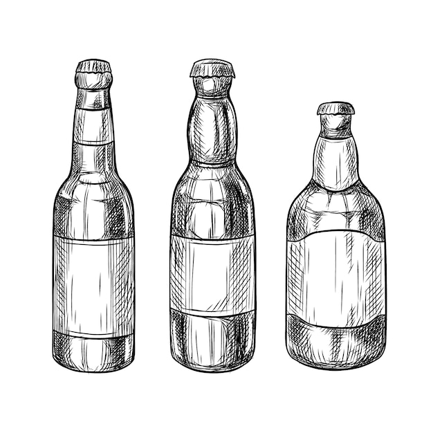 Free vector hand drawn beer bottle drawing illustration