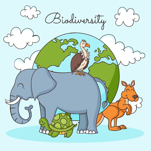 Free vector hand drawn biodiversity illustration