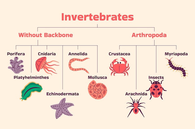 Hand drawn biodiversity loss infographic