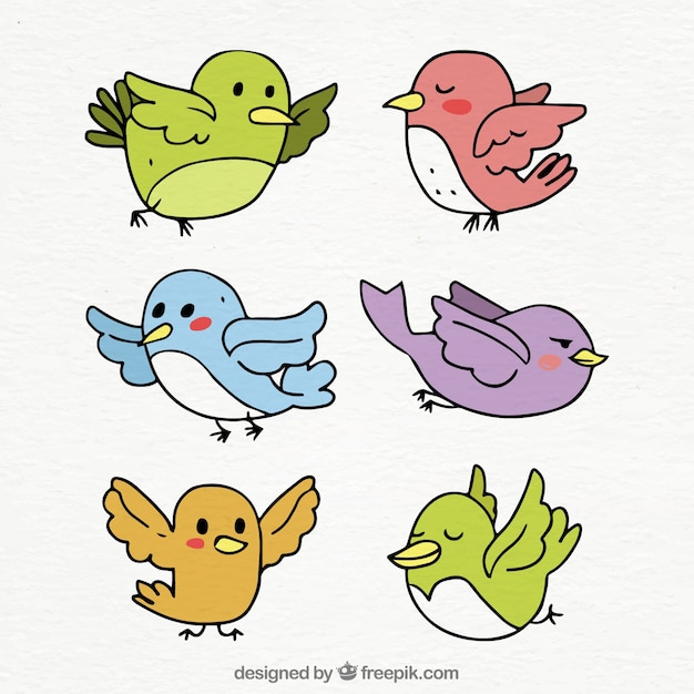 Free Vector hand drawn bird collection