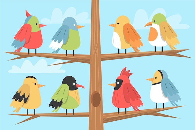 Free Vector hand drawn bird collection