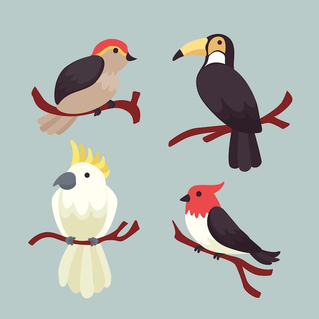 Free vector hand drawn bird collection