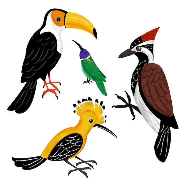 Free vector hand drawn bird collection