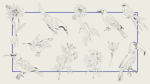 Free Vector hand drawn bird and flower collection on a frame background vector