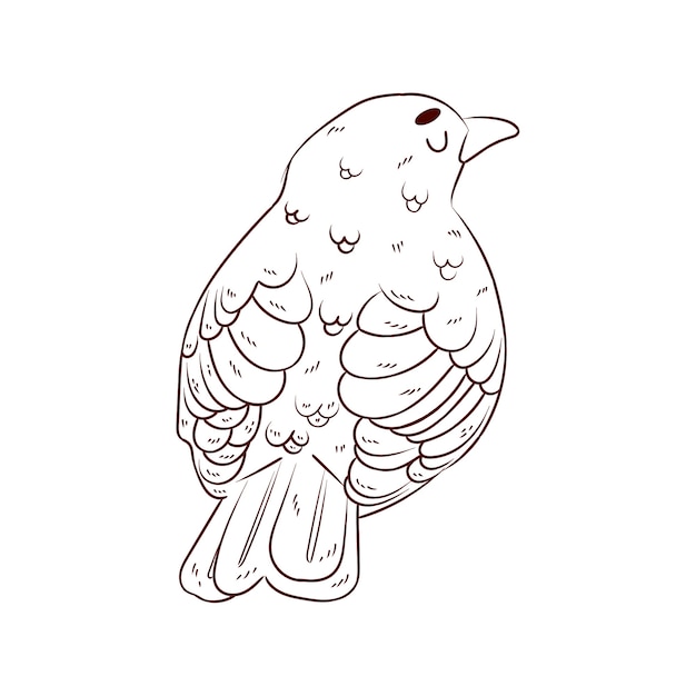 Hand drawn bird outline illustration