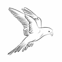 Free vector hand drawn bird outline illustration