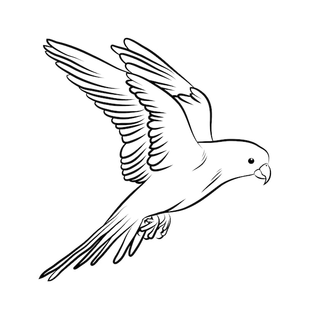 Hand drawn bird outline illustration