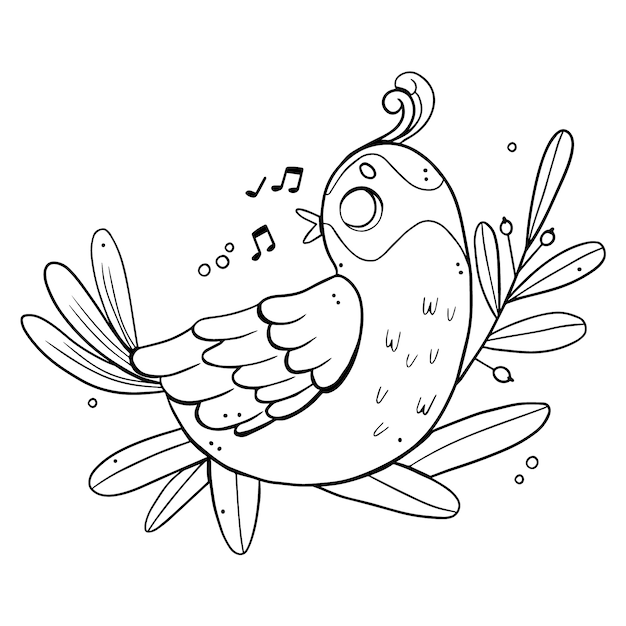 Hand drawn bird outline illustration