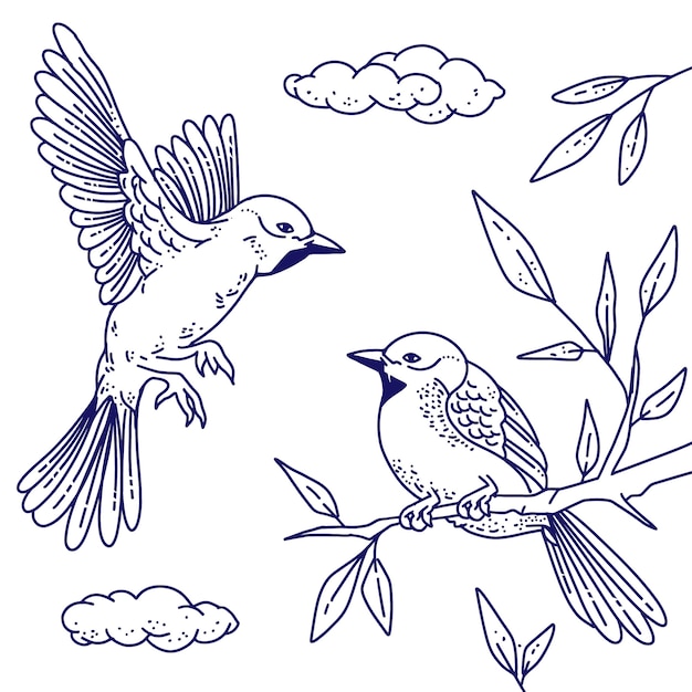 Hand drawn bird outline illustration