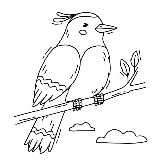 Free Vector hand drawn bird outline illustration