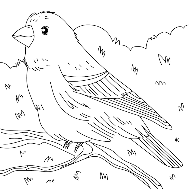 Free Vector hand drawn bird outline illustration